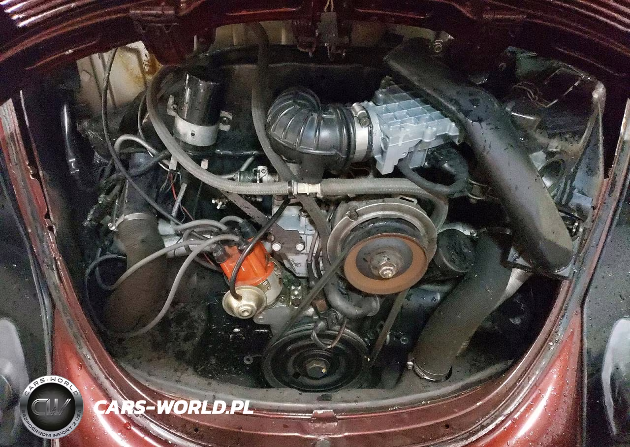 1979 Volkswagen Bettle VIN:1592036688 - 11