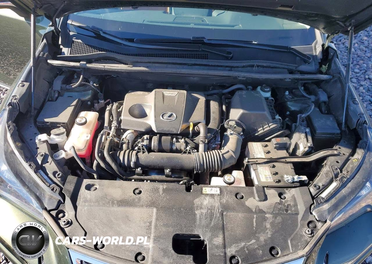 2021 Lexus Nx 300 Base VIN:JTJDARBZ6M2191137 - 12