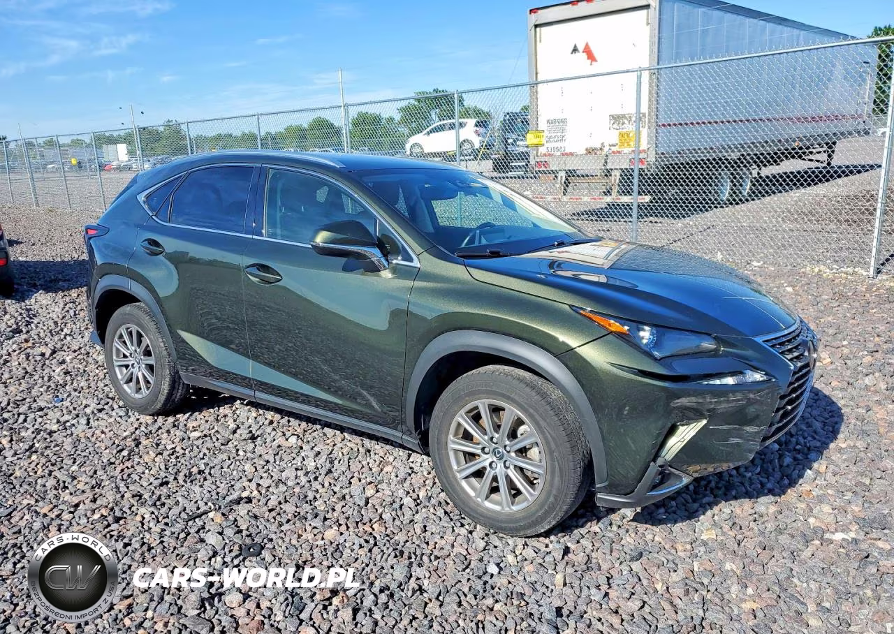2021 Lexus Nx 300 Base VIN:JTJDARBZ6M2191137 - 4
