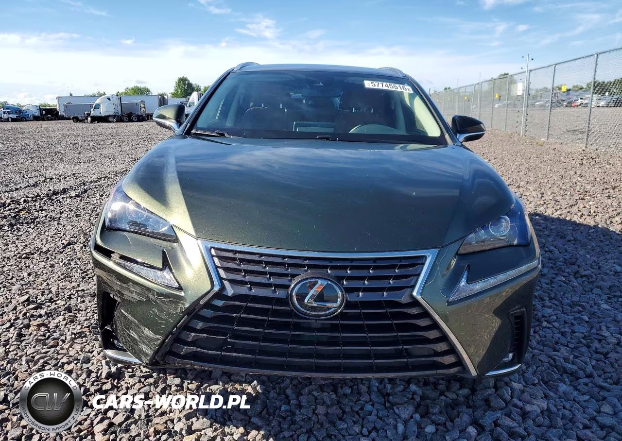 2021 Lexus Nx 300 Base VIN:JTJDARBZ6M2191137 - 5