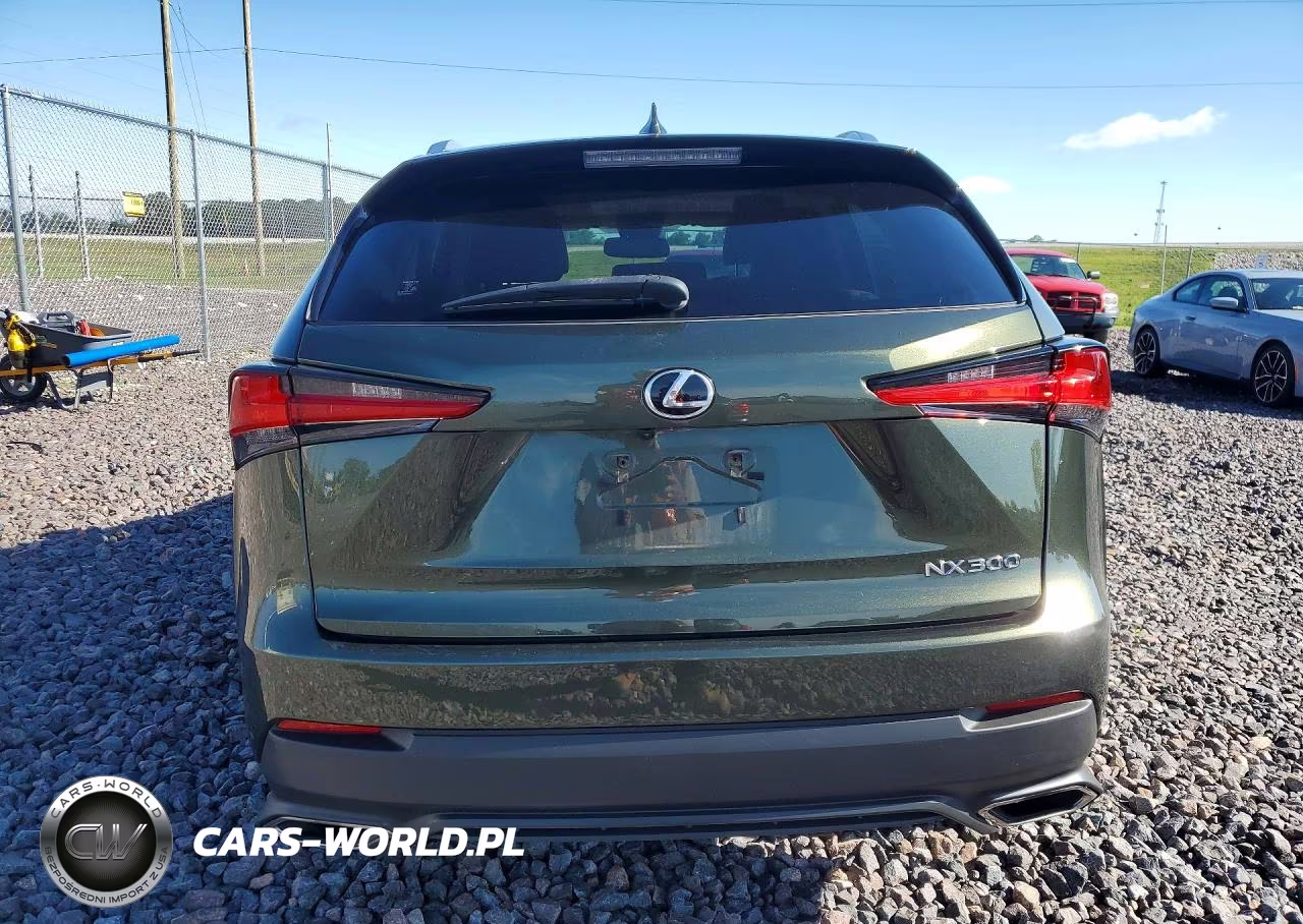 2021 Lexus Nx 300 Base VIN:JTJDARBZ6M2191137 - 6