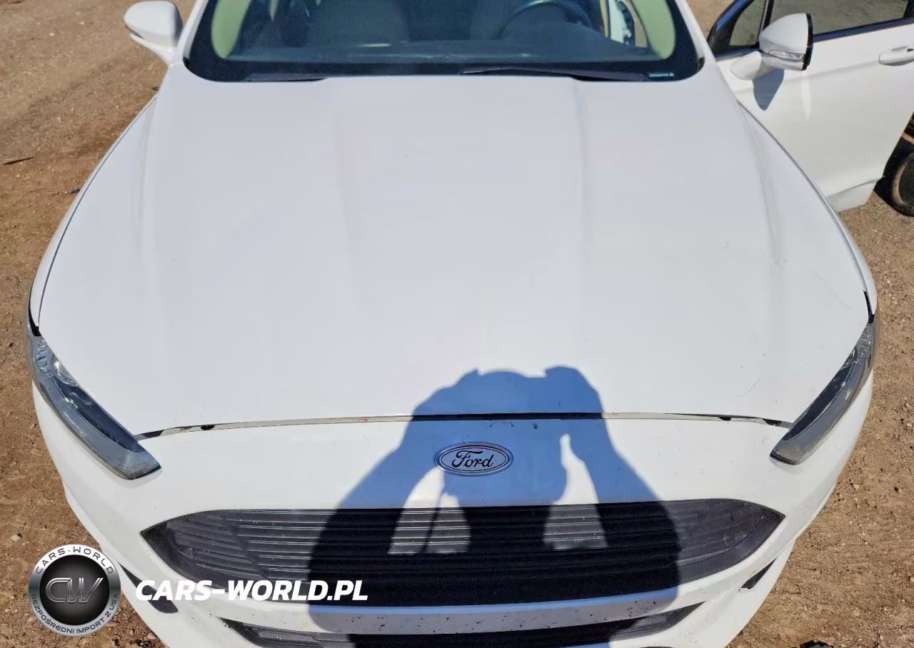 2013 Ford Fusion Se Hybrid VIN:3FA6P0LU0DR172156 - 11