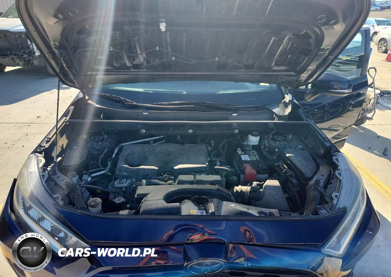 2019 Toyota Rav4 Xle VIN:2T3P1RFV5KW043525 - 12