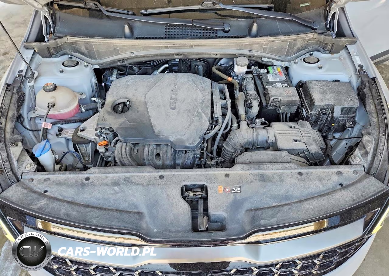 2023 Kia Sportage X Line VIN:5XYK6CAF1PG049062 - 12
