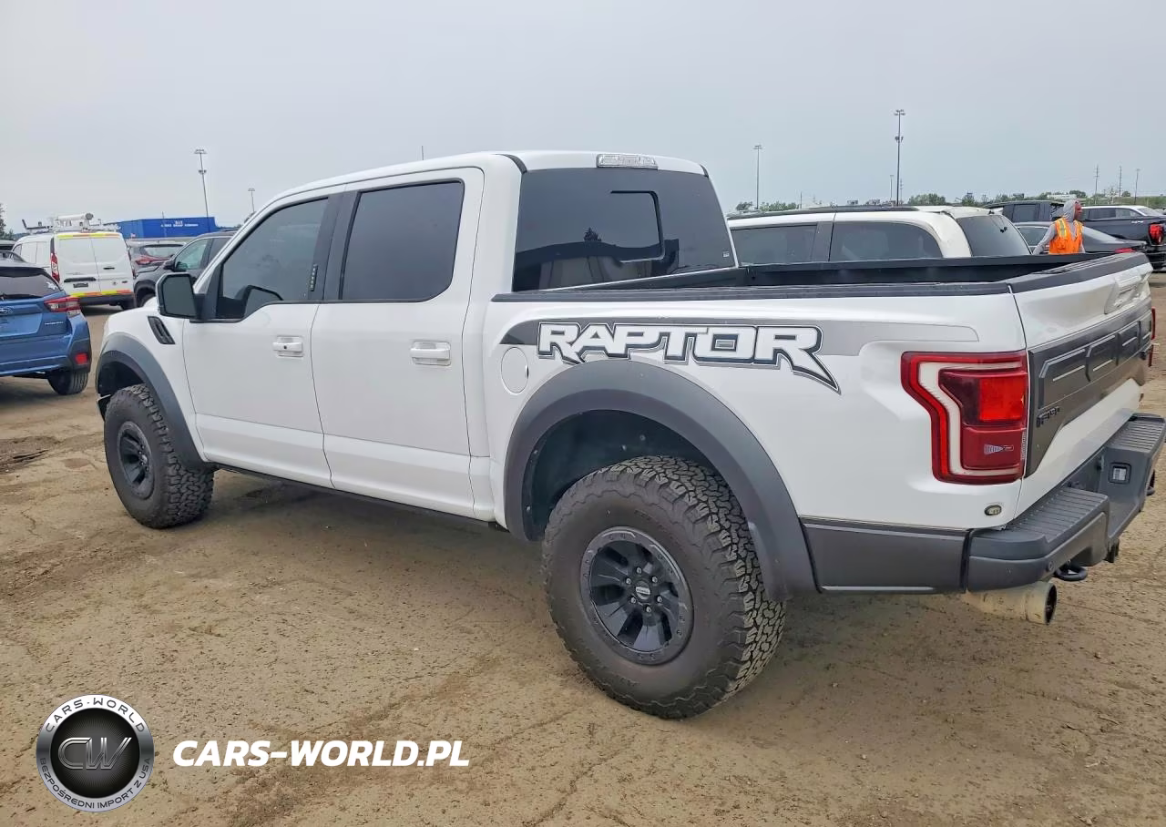 2017 Ford F150 Raptor VIN:1FTFW1RG1HFB54918 - 2