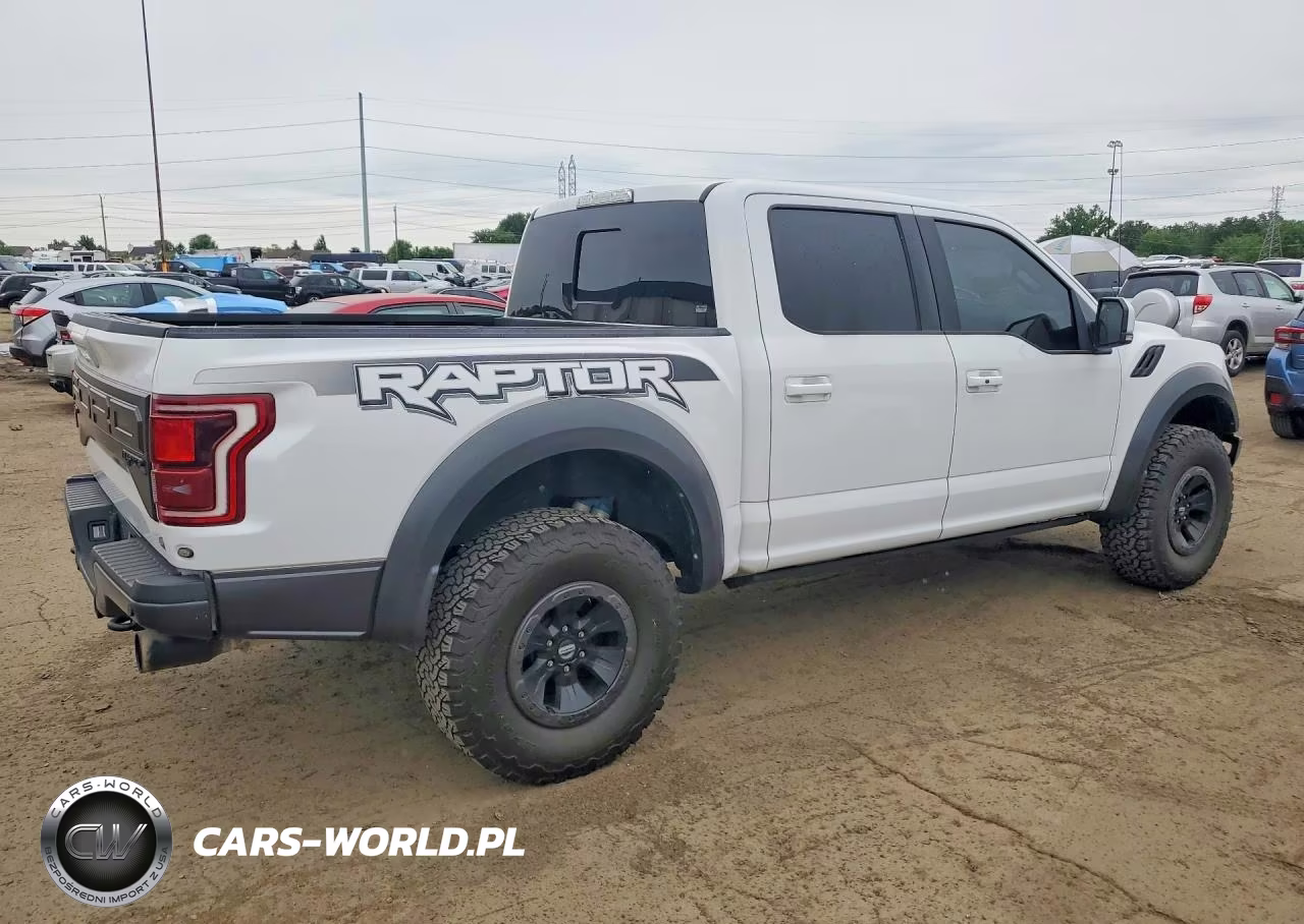 2017 Ford F150 Raptor VIN:1FTFW1RG1HFB54918 - 3