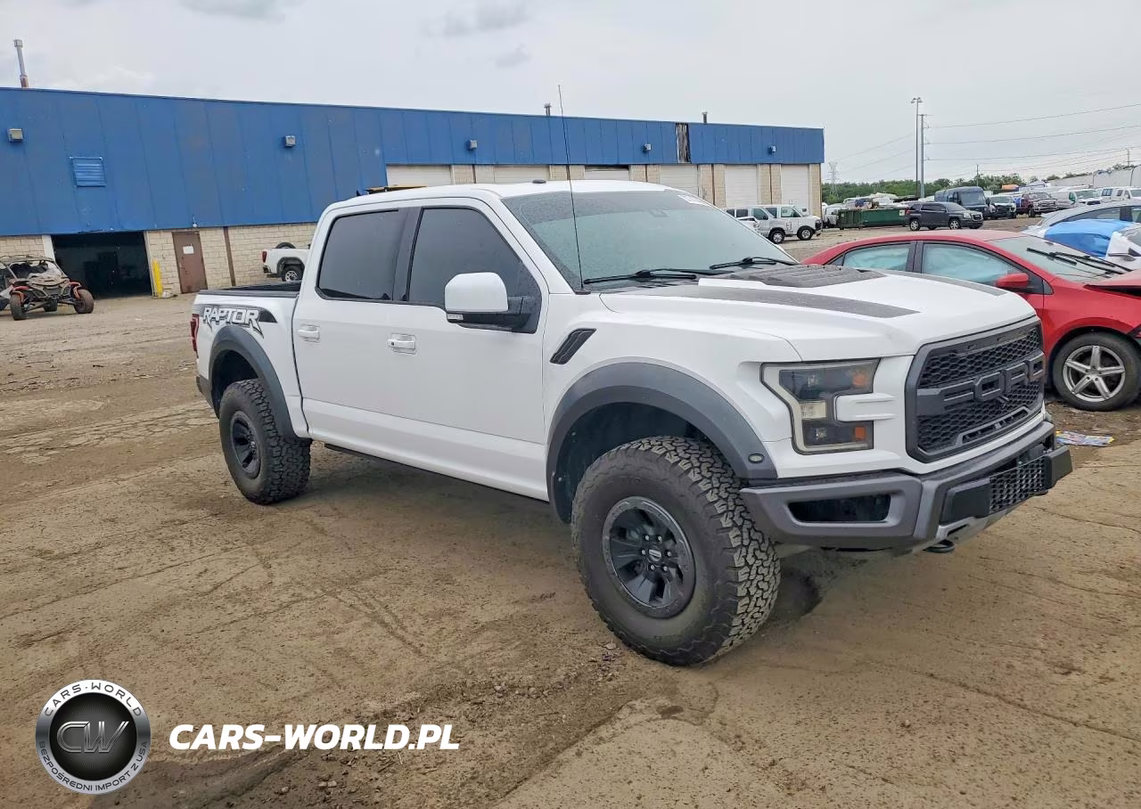 2017 Ford F150 Raptor VIN:1FTFW1RG1HFB54918 - 4