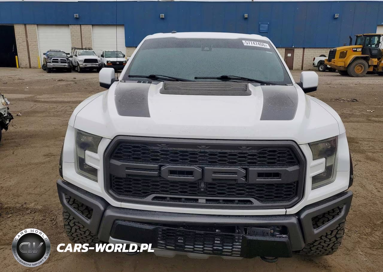 2017 Ford F150 Raptor VIN:1FTFW1RG1HFB54918 - 5