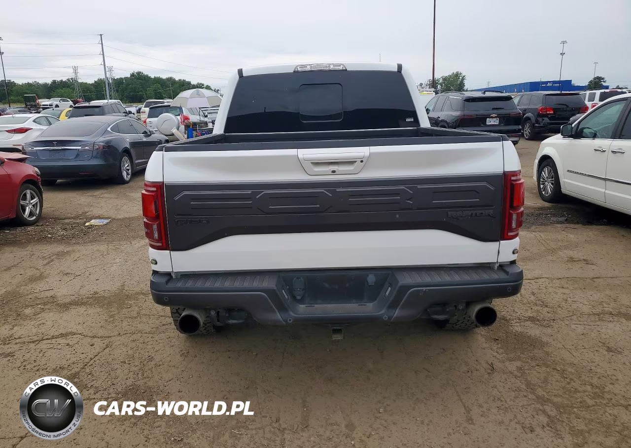 2017 Ford F150 Raptor VIN:1FTFW1RG1HFB54918 - 6