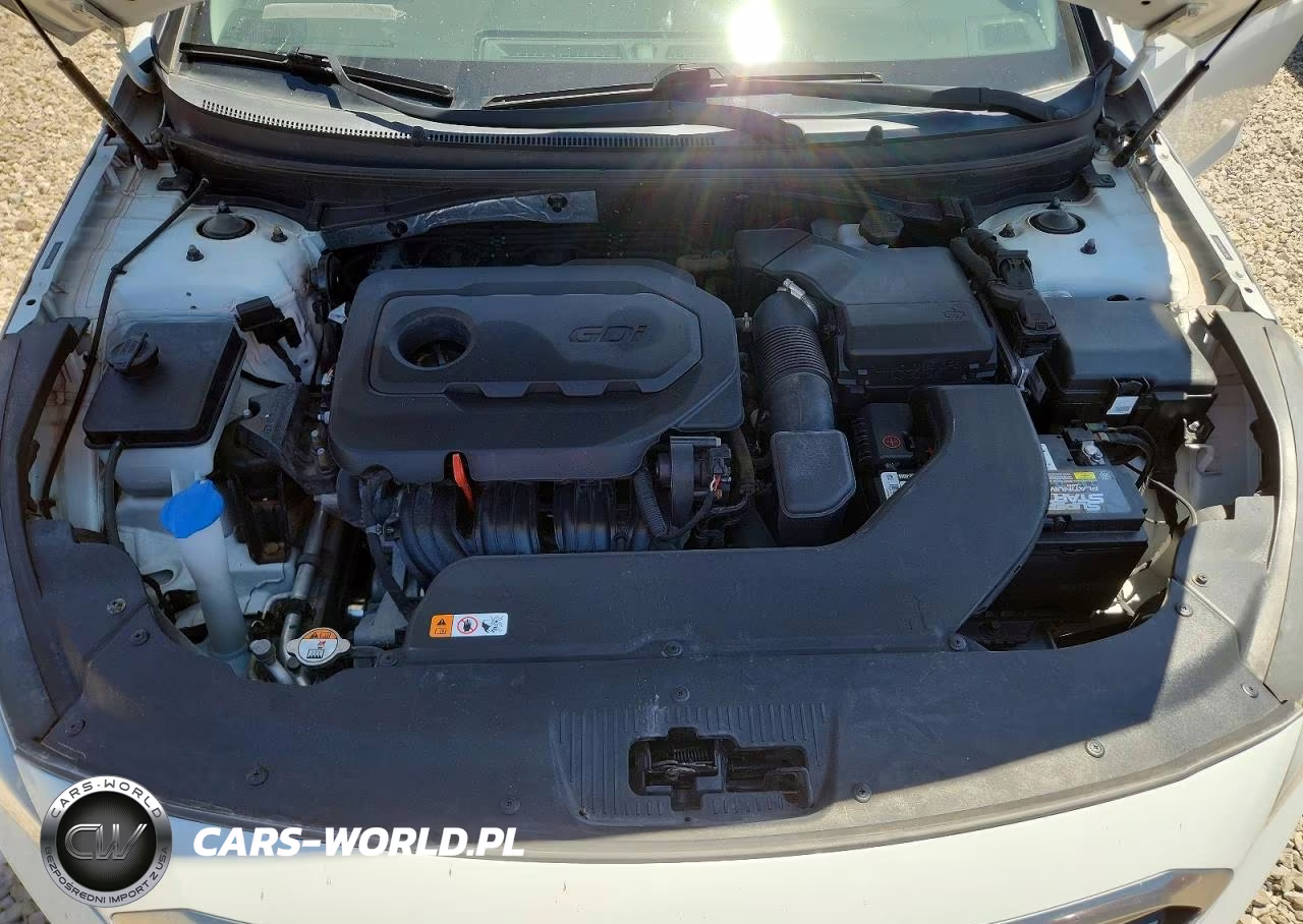 2016 Hyundai Sonata Se VIN:5NPE24AF0GH336982 - 11