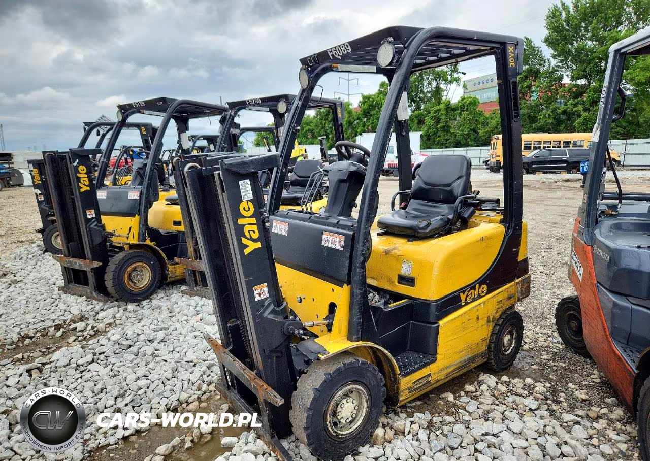 2019 Yale Glp030Vxnesv062 Forklift VIN:D810V03581T - 2