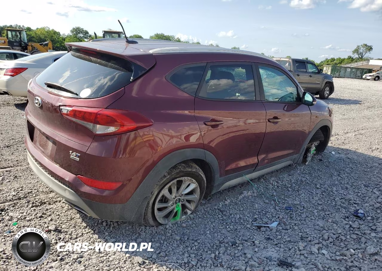2017 Hyundai Tucson Limited VIN:KM8J3CA2XHU344948 - 3