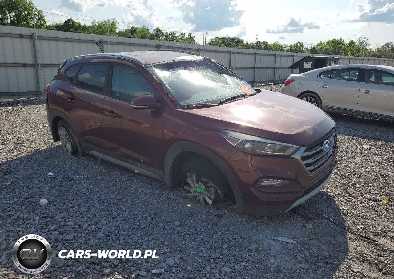 2017 Hyundai Tucson Limited VIN:KM8J3CA2XHU344948 - 4