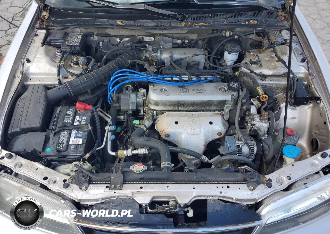 1996 Honda Accord Dx 25Th Anniversary VIN:1HGCD5686TA094719 - 11