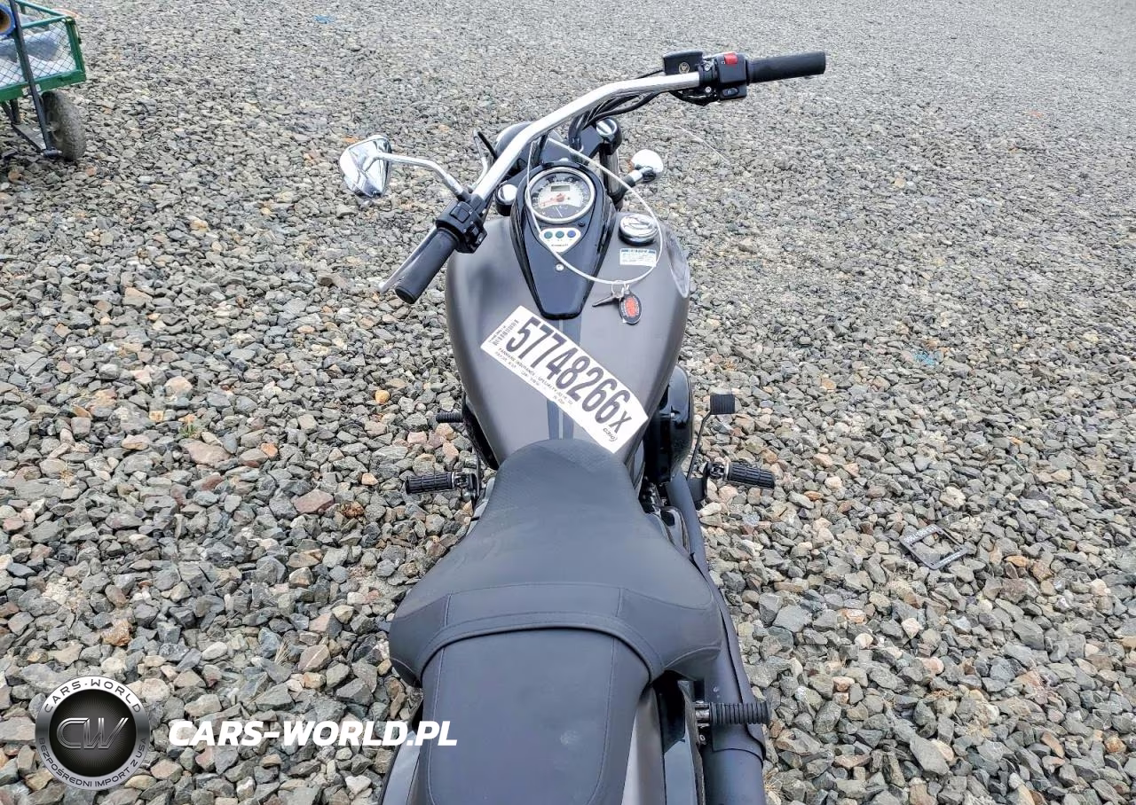 2024 Kawasaki Vn900 F VIN:JKAVN2F10RA002058 - 6