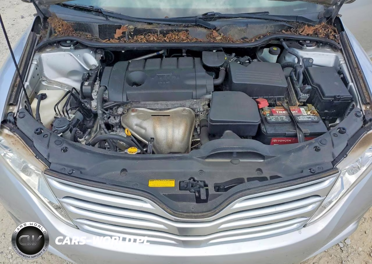 2010 Toyota Venza Fwd 4Cyl VIN:4T3ZA3BB2AU024527 - 12