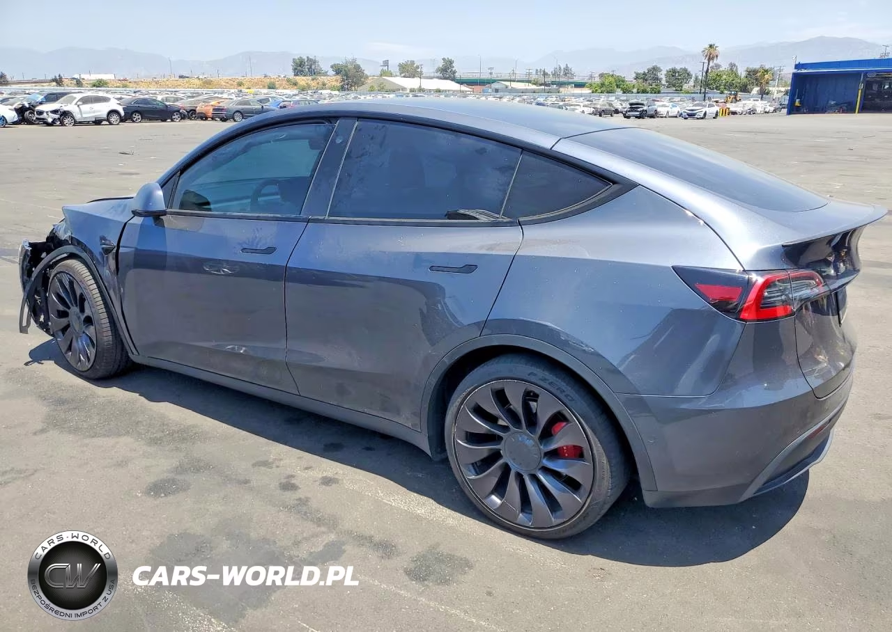 2021 Tesla Model Y VIN:5YJYGDEF9MF098732 - 2