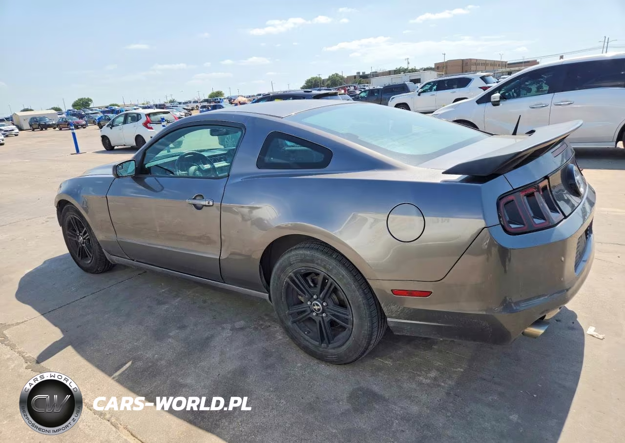 2014 Ford Mustang VIN:1ZVBP8AM7E5328981 - 2