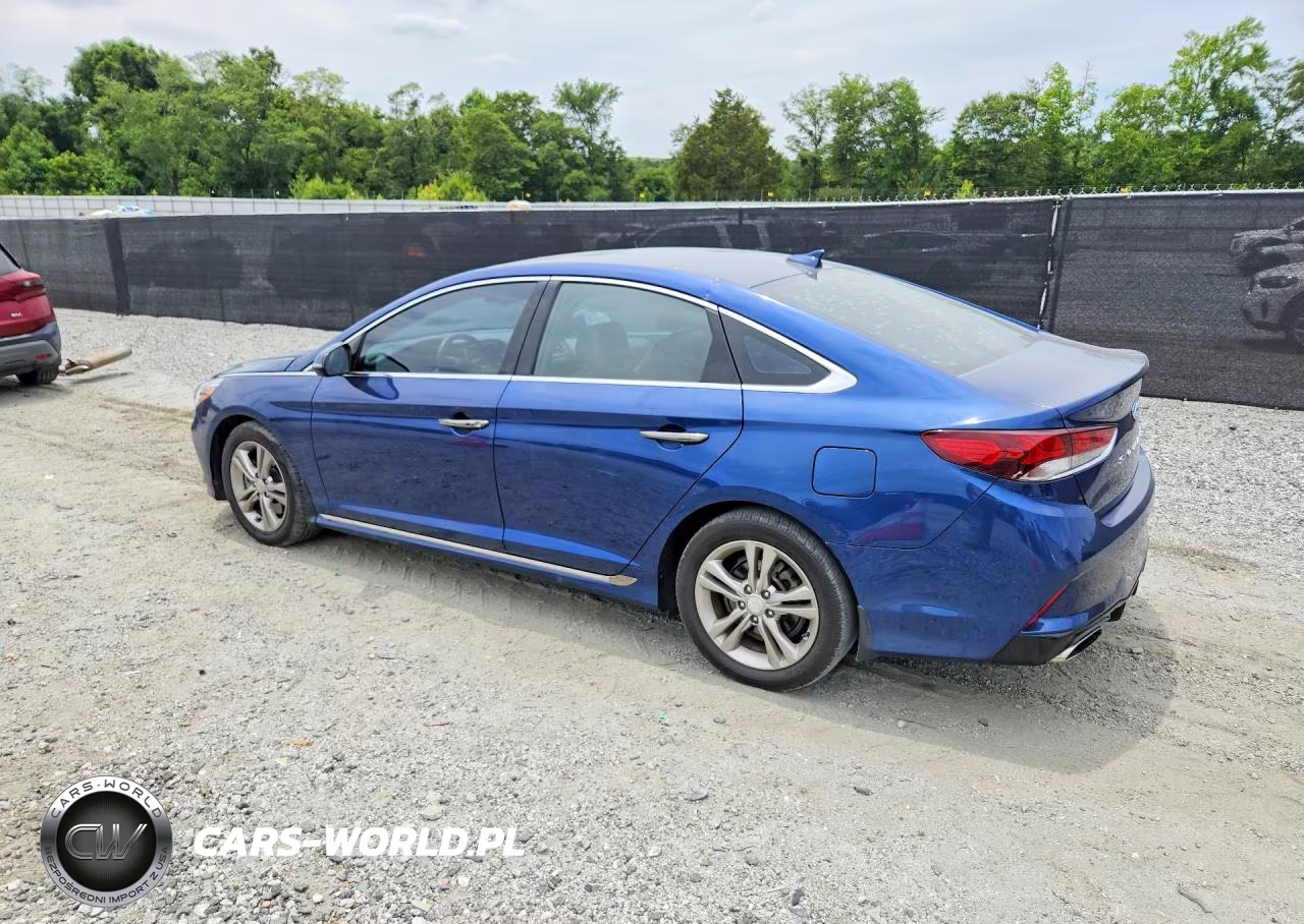 2019 Hyundai Sonata Sport VIN:5NPE34AF9KH738134 - 2