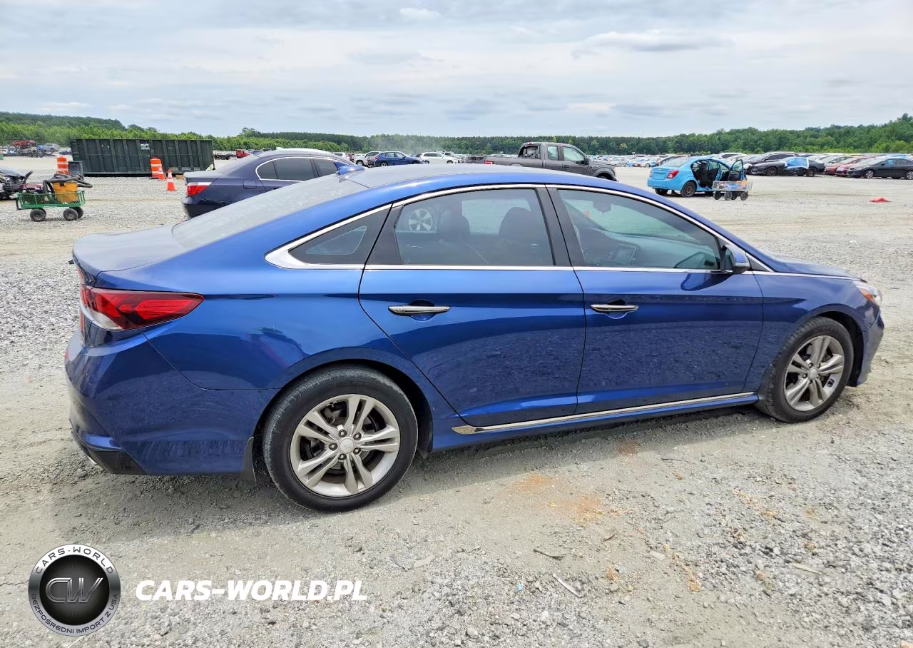 2019 Hyundai Sonata Sport VIN:5NPE34AF9KH738134 - 3