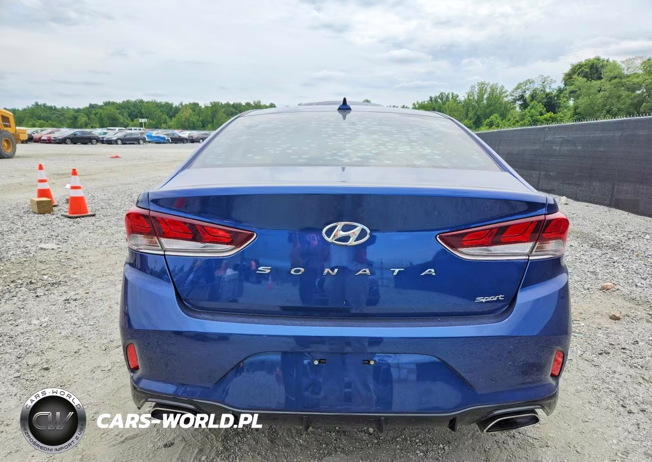 2019 Hyundai Sonata Sport VIN:5NPE34AF9KH738134 - 6