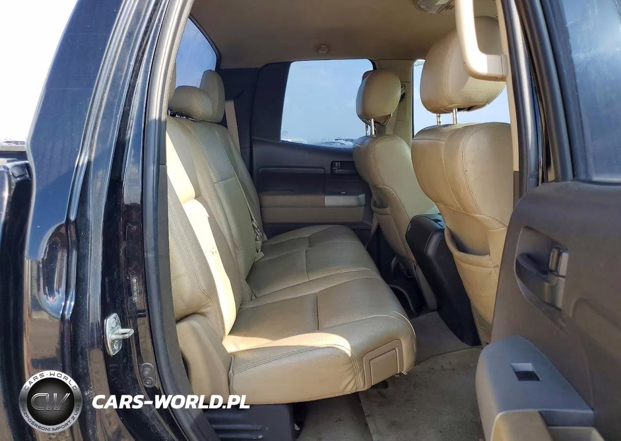 2009 Toyota Tundra Grade VIN:5TFRU54119X019494 - 10