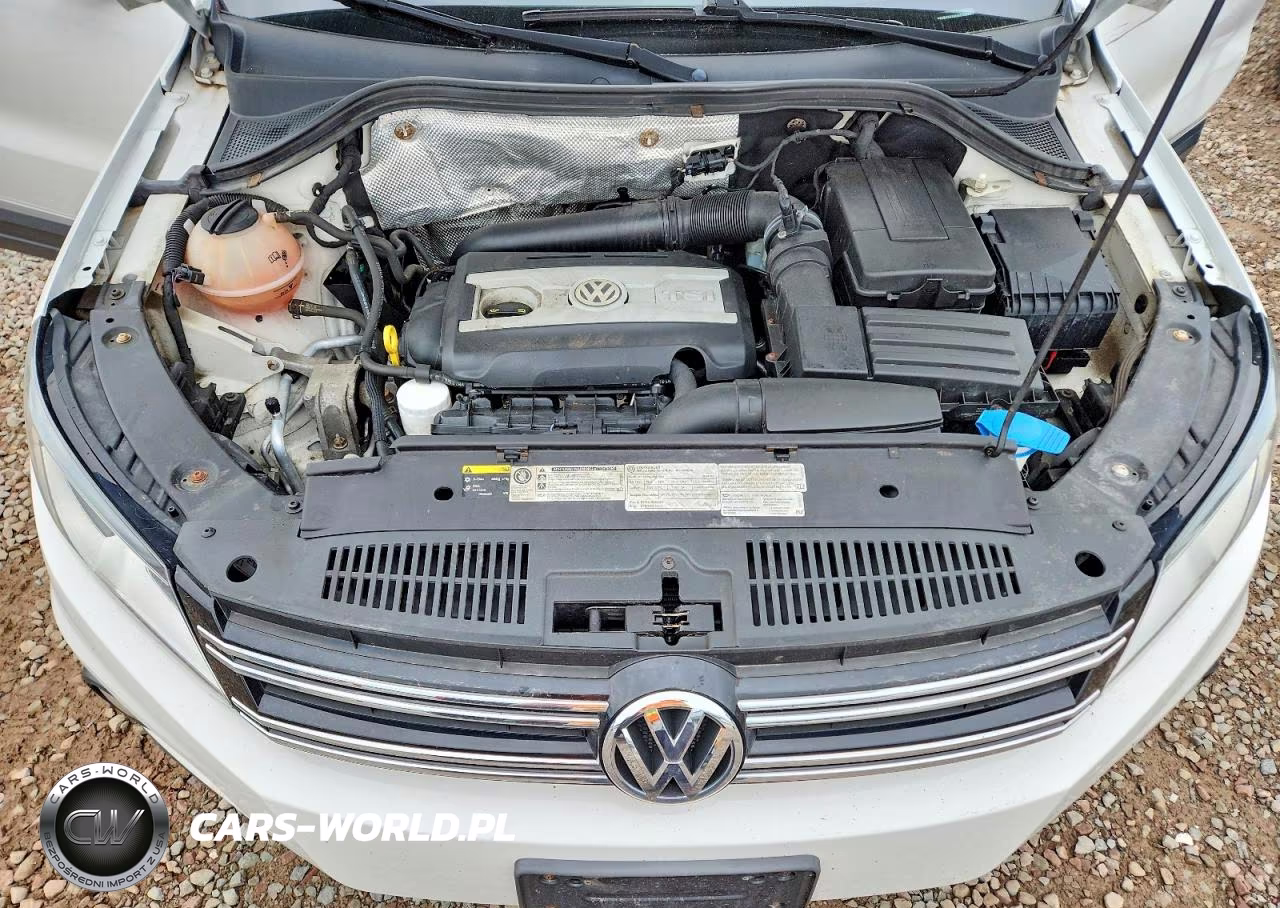 2014 Volkswagen Tiguan S VIN:WVGBV3AX0EW539435 - 12