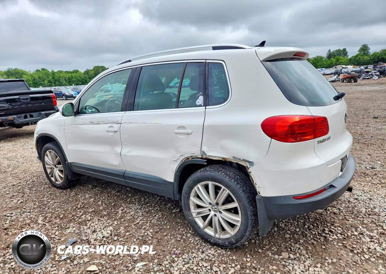 2014 Volkswagen Tiguan S VIN:WVGBV3AX0EW539435 - 2