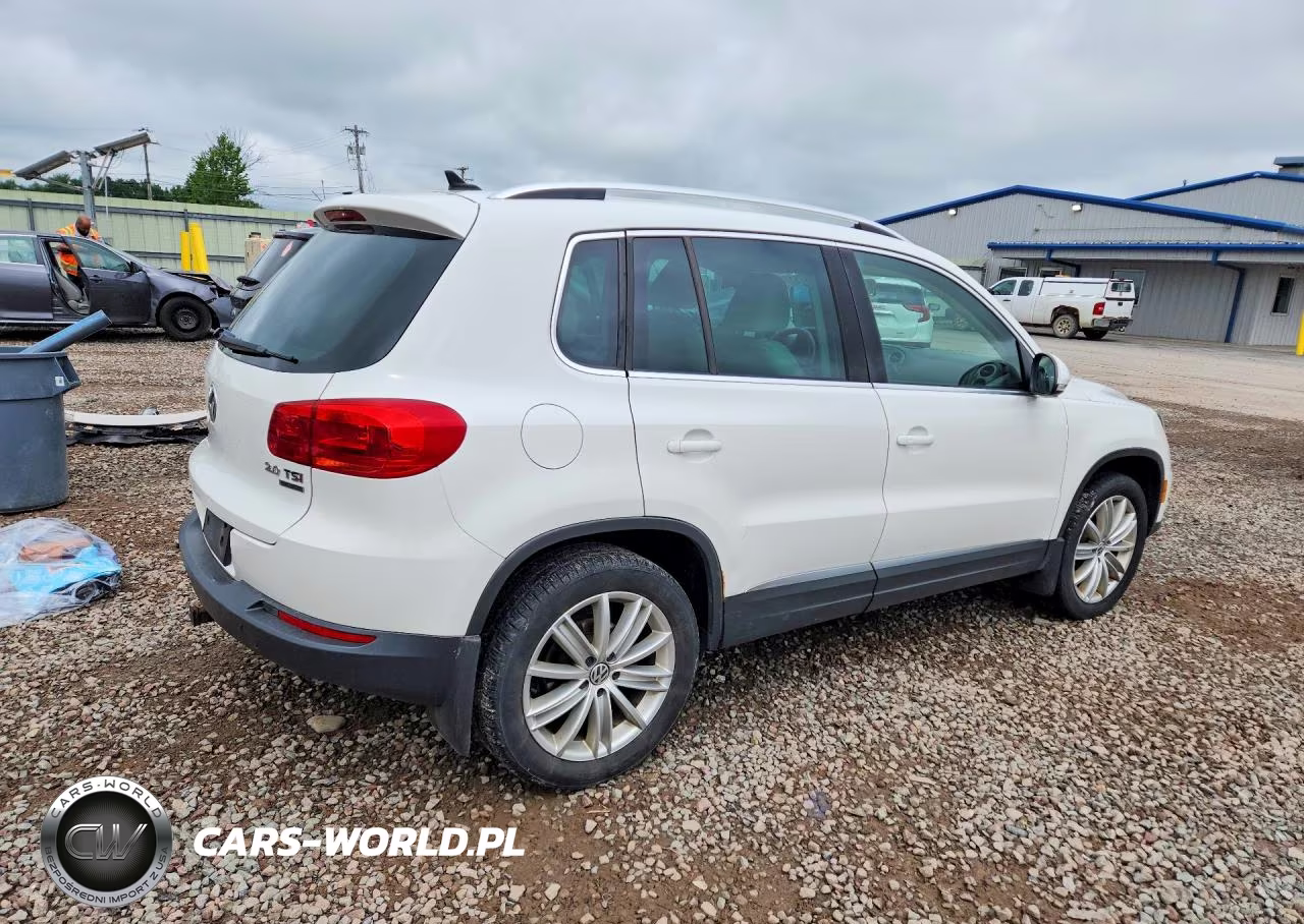 2014 Volkswagen Tiguan S VIN:WVGBV3AX0EW539435 - 3