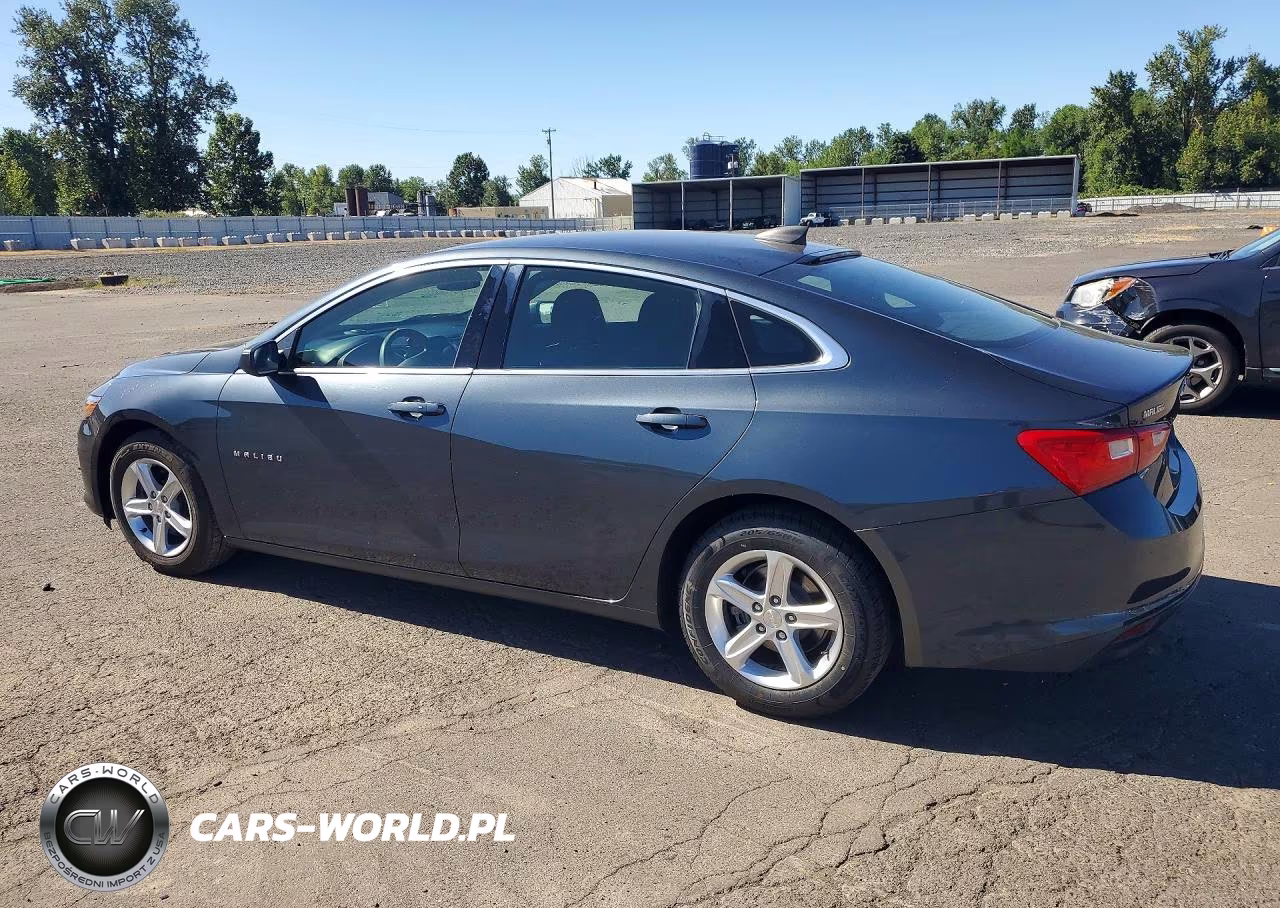 2019 Chevrolet Malibu Ls VIN:1G1ZB5ST6KF220726 - 2