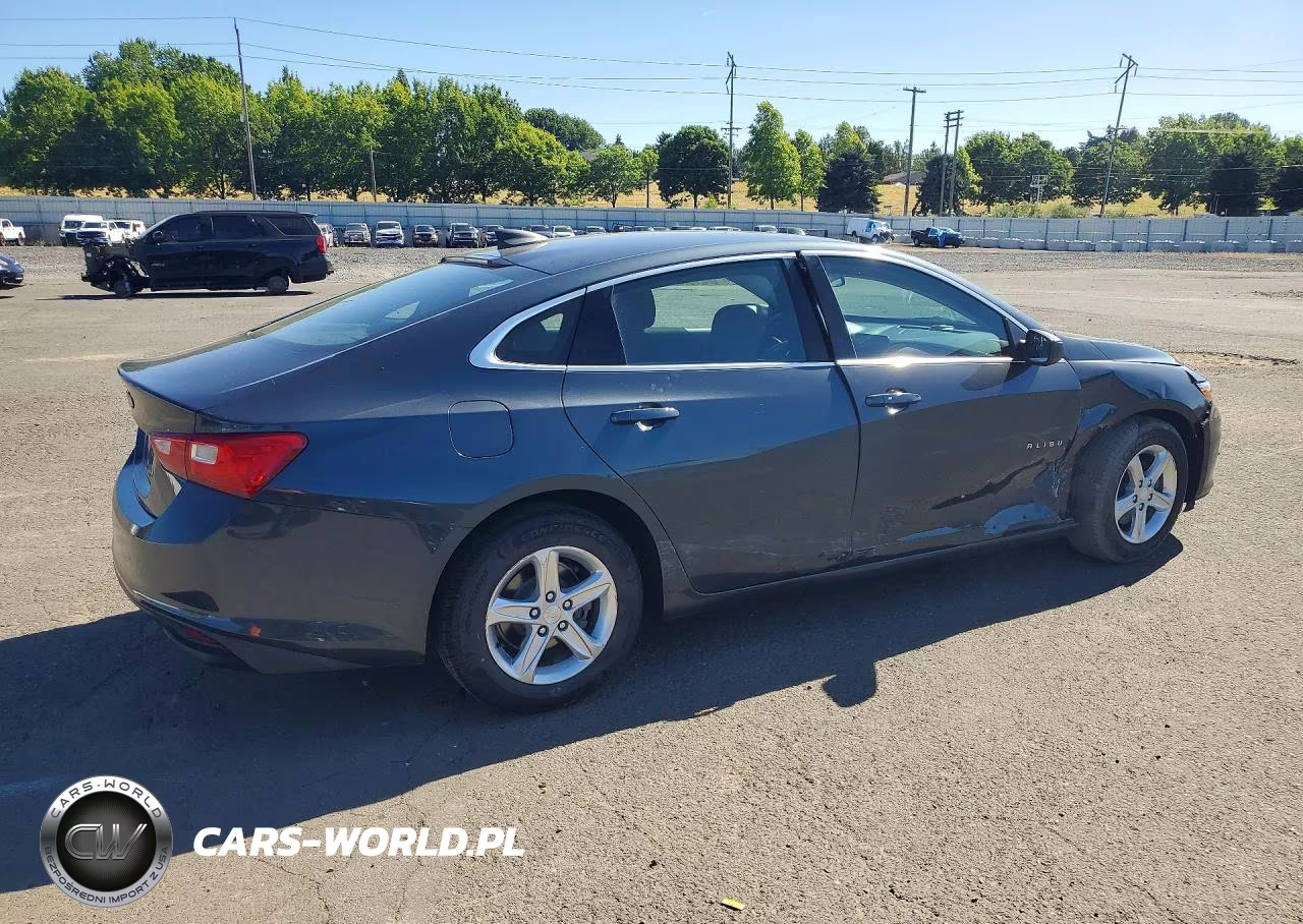 2019 Chevrolet Malibu Ls VIN:1G1ZB5ST6KF220726 - 3