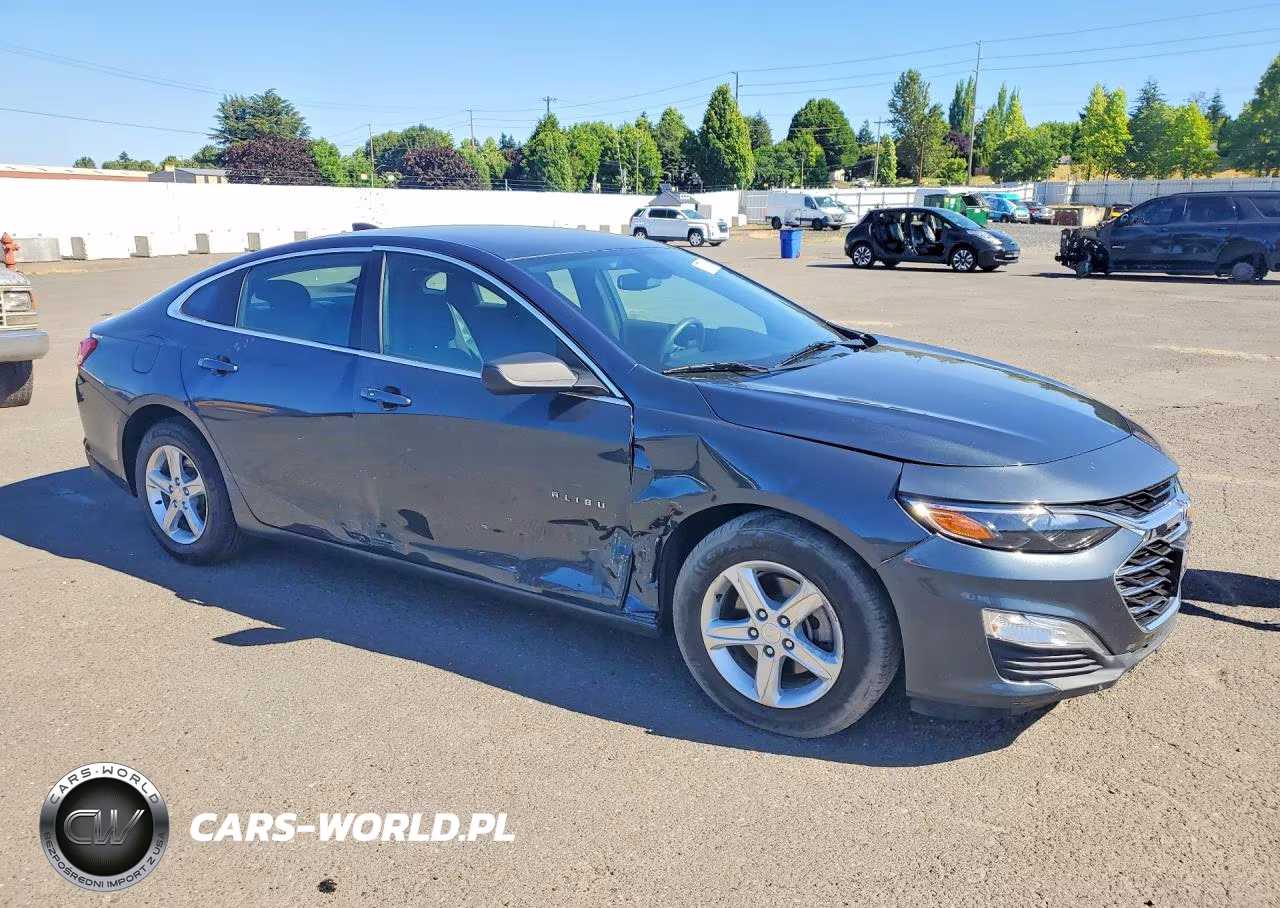 2019 Chevrolet Malibu Ls VIN:1G1ZB5ST6KF220726 - 4