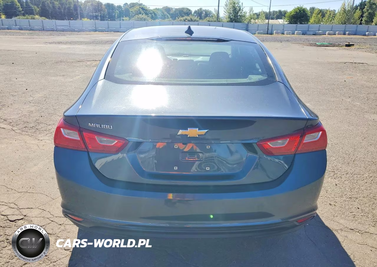 2019 Chevrolet Malibu Ls VIN:1G1ZB5ST6KF220726 - 6