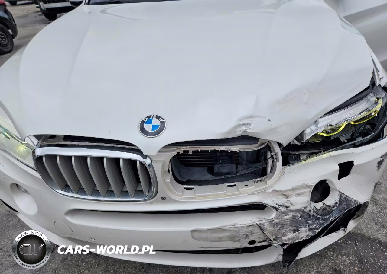 2015 BMW X5 xDrive50I VIN:5UXKR6C54F0J77540 - 12