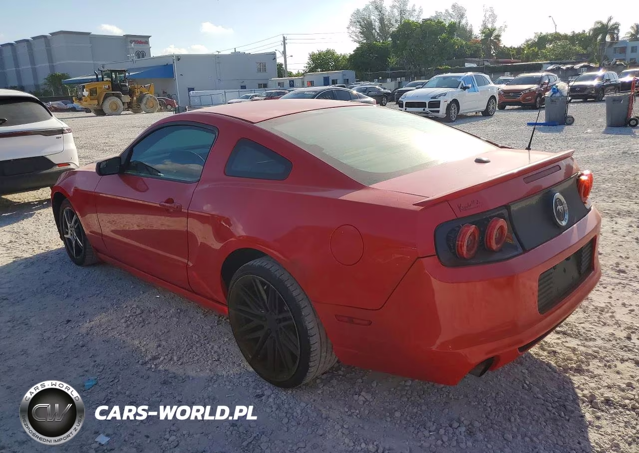 2013 Ford Mustang VIN:1ZVBP8AM3D5204298 - 2