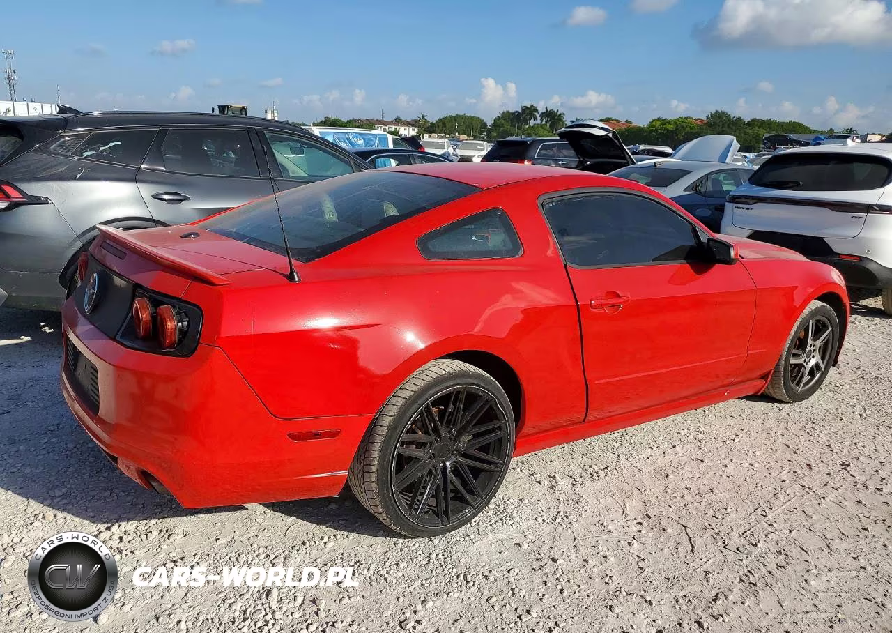 2013 Ford Mustang VIN:1ZVBP8AM3D5204298 - 3