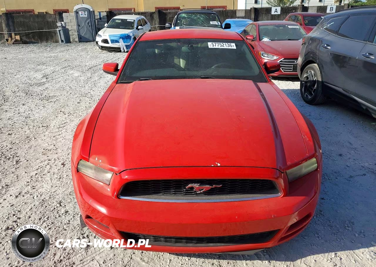 2013 Ford Mustang VIN:1ZVBP8AM3D5204298 - 5