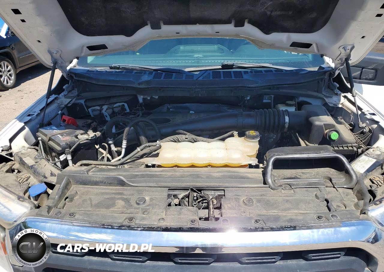2021 Ford F150 Supercrew VIN:1FTFW1E13MFC73503 - 11