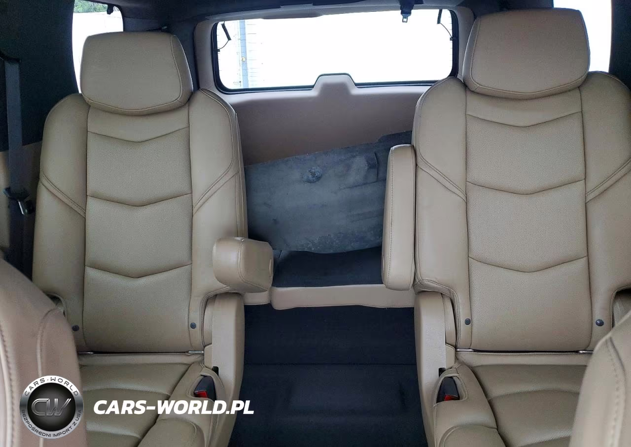 2020 Cadillac Escalade Platinum VIN:1GYS4DKJ0LR143423 - 10