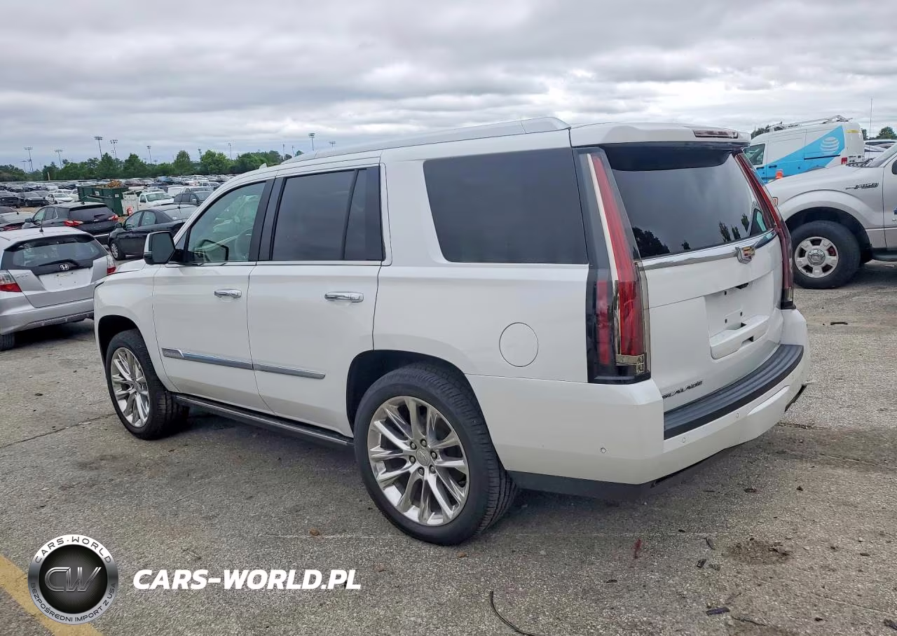 2020 Cadillac Escalade Platinum VIN:1GYS4DKJ0LR143423 - 2