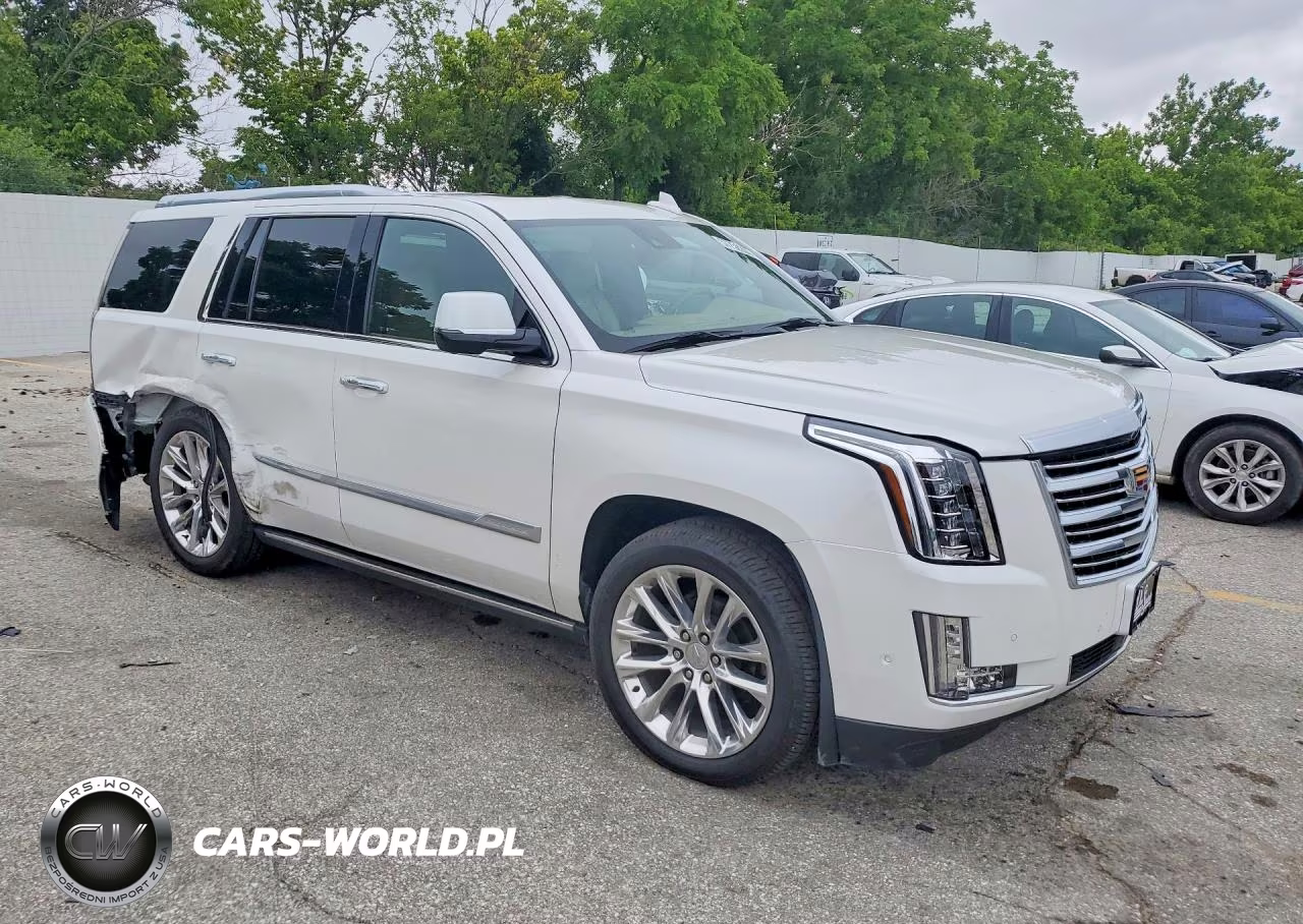 2020 Cadillac Escalade Platinum VIN:1GYS4DKJ0LR143423 - 4