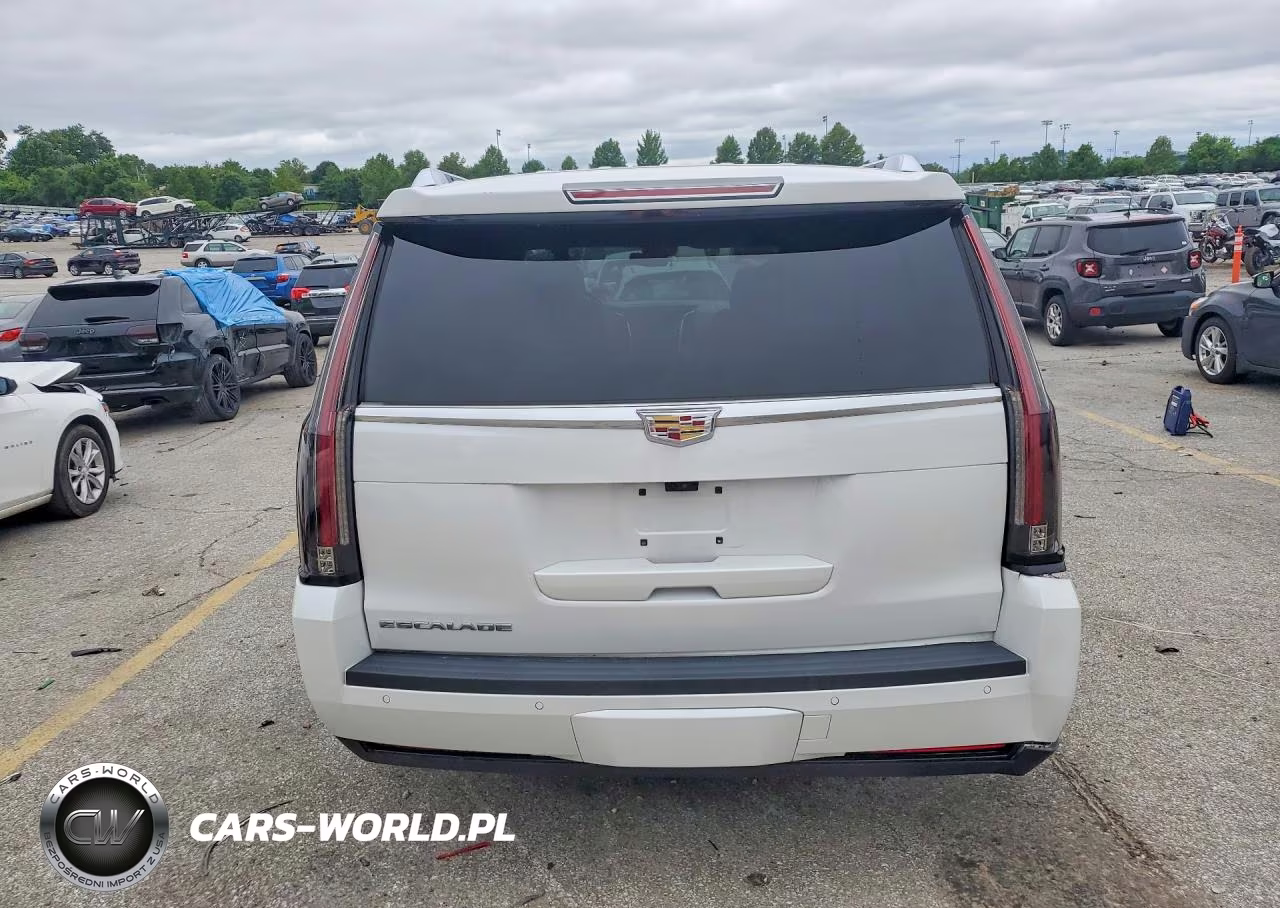 2020 Cadillac Escalade Platinum VIN:1GYS4DKJ0LR143423 - 6