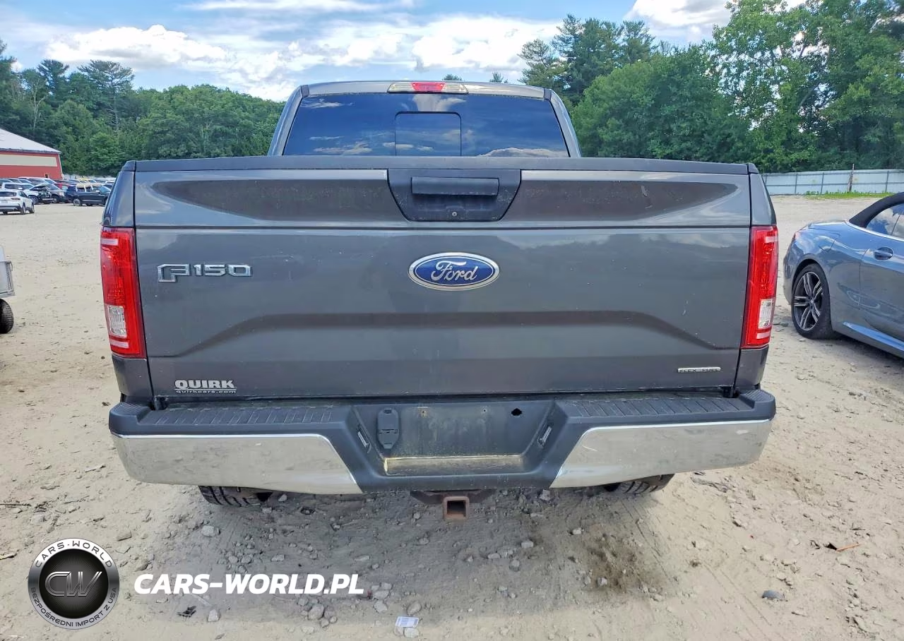 2015 Ford F150 4X4 VIN:1FTEX1E86FFC81376 - 6