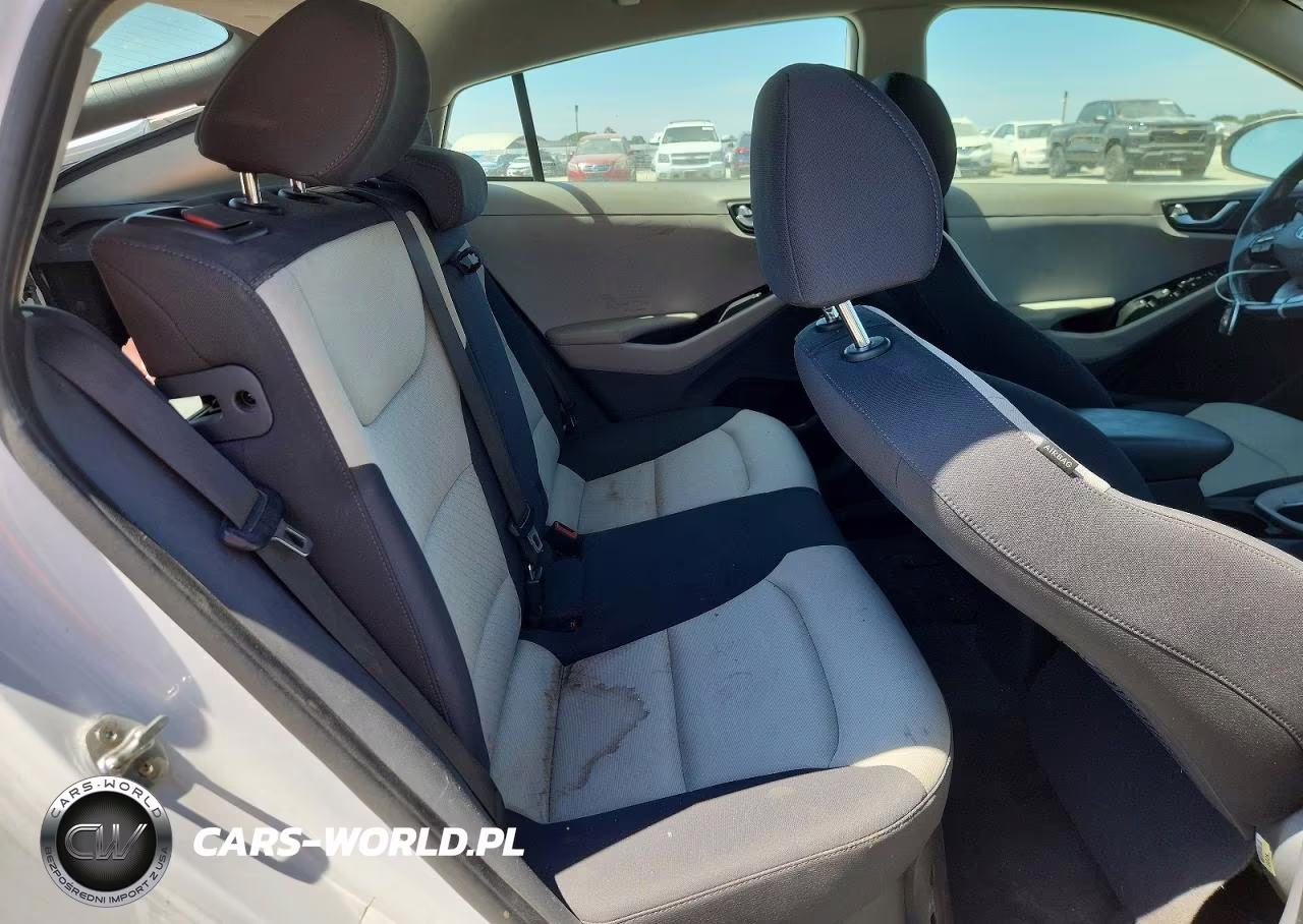 2019 Hyundai Ioniq Sel VIN:KMHC75LC2KU120269 - 10