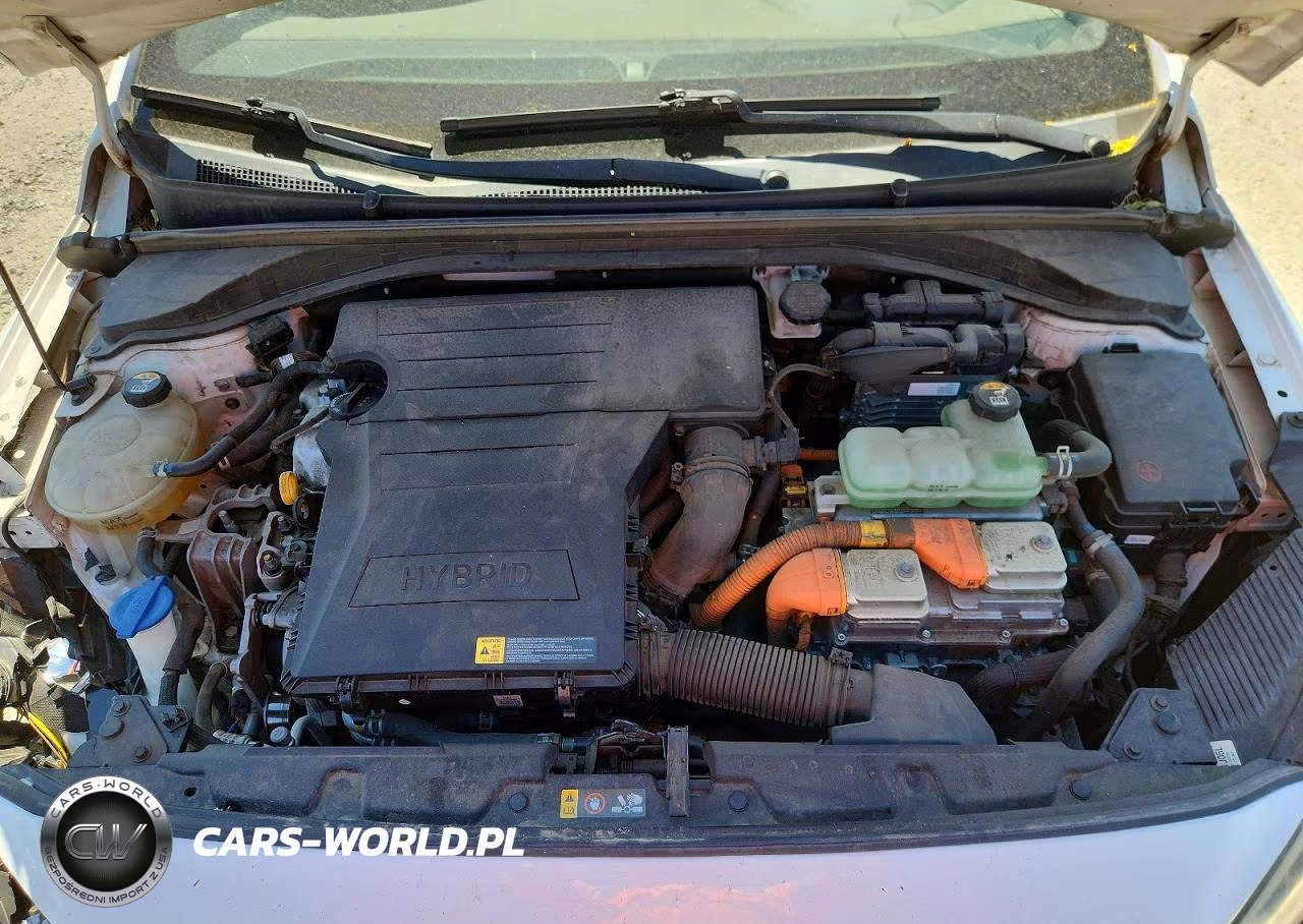 2019 Hyundai Ioniq Sel VIN:KMHC75LC2KU120269 - 11