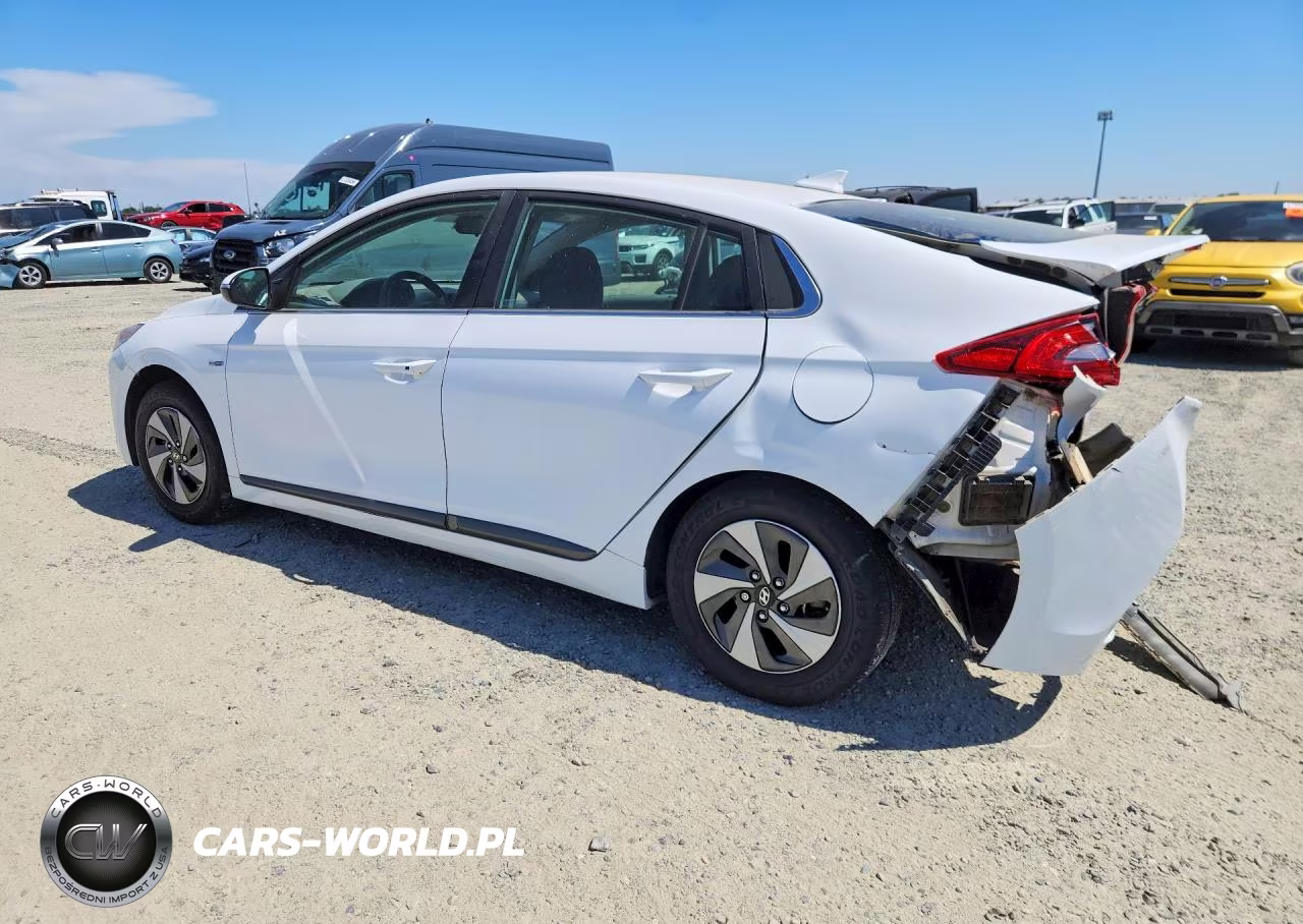 2019 Hyundai Ioniq Sel VIN:KMHC75LC2KU120269 - 2