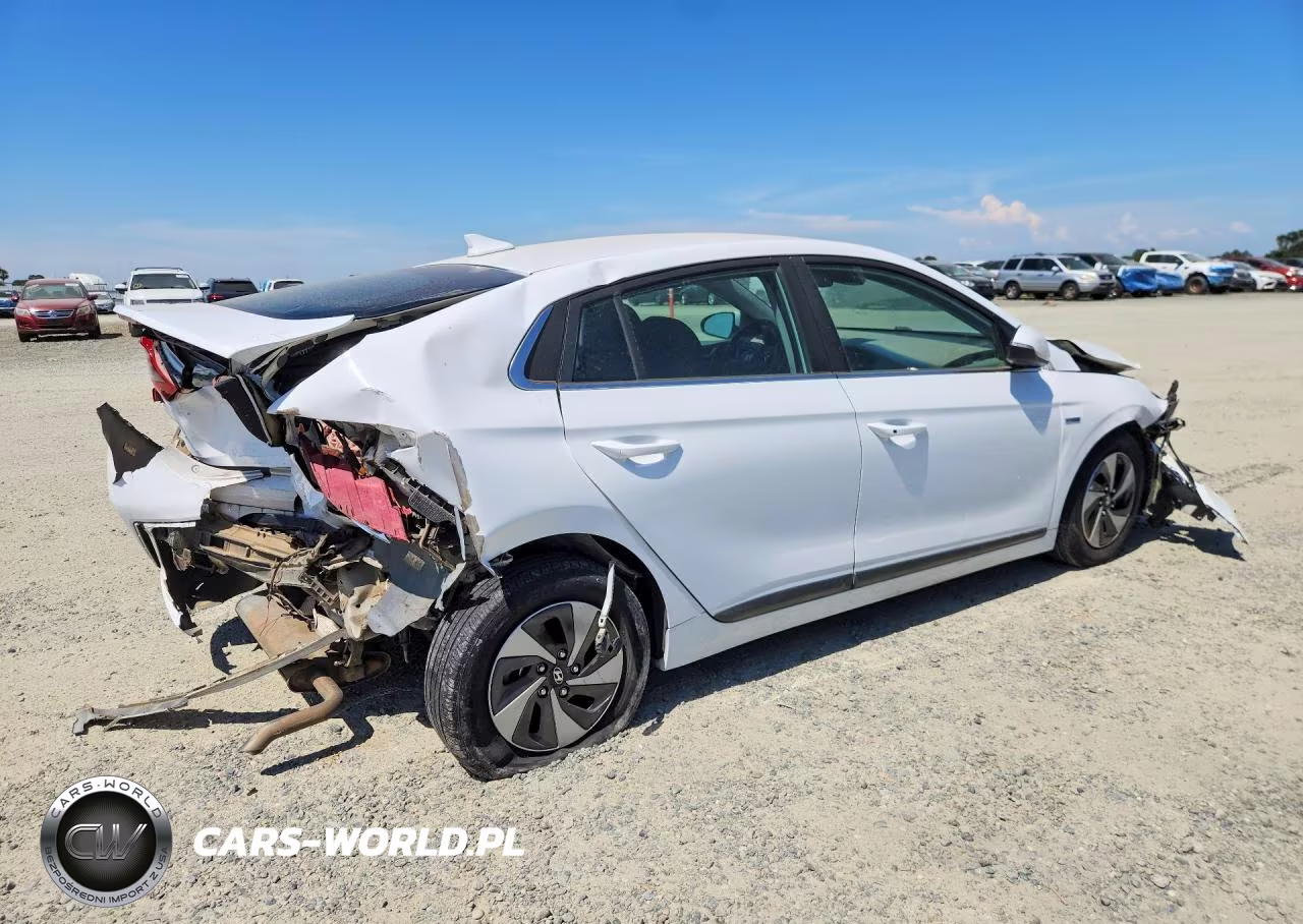 2019 Hyundai Ioniq Sel VIN:KMHC75LC2KU120269 - 3