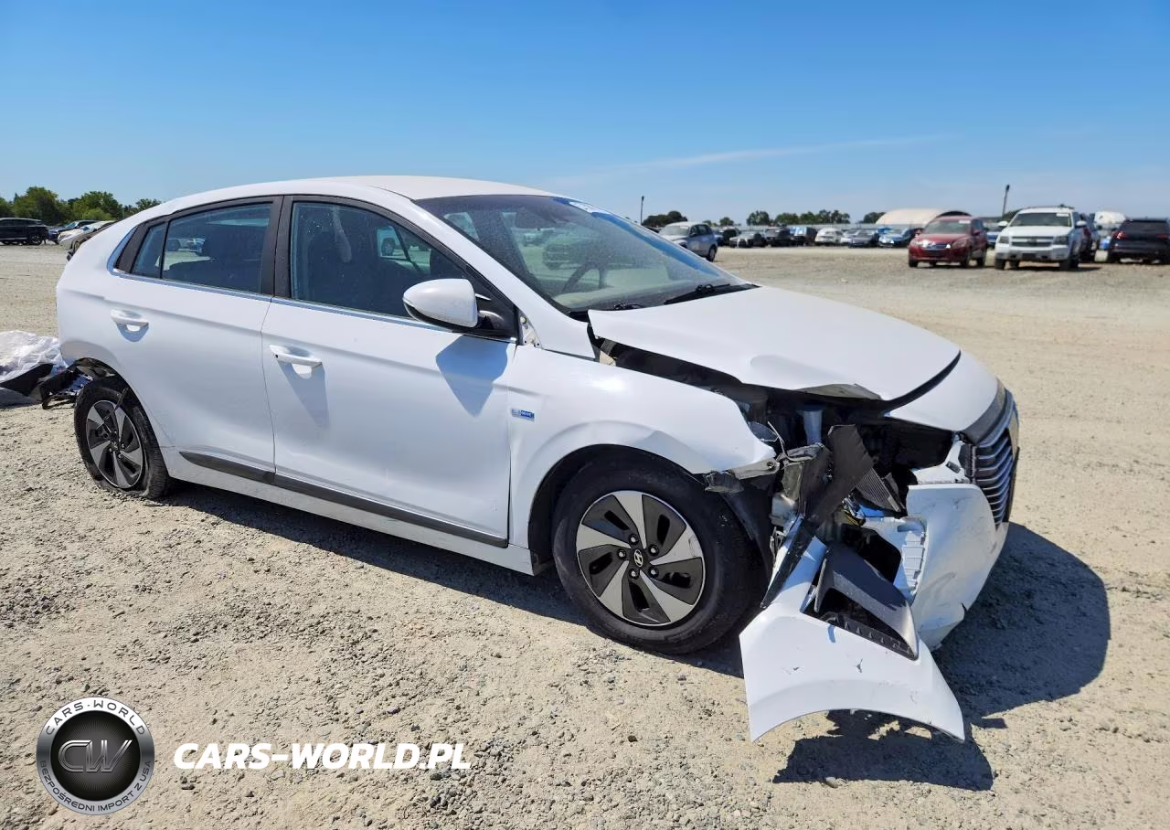 2019 Hyundai Ioniq Sel VIN:KMHC75LC2KU120269 - 4