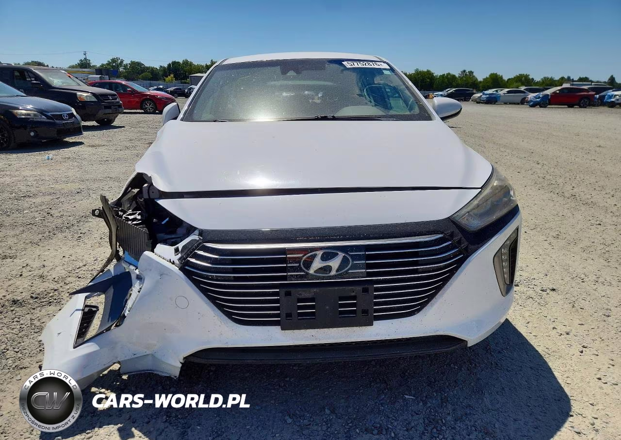 2019 Hyundai Ioniq Sel VIN:KMHC75LC2KU120269 - 5