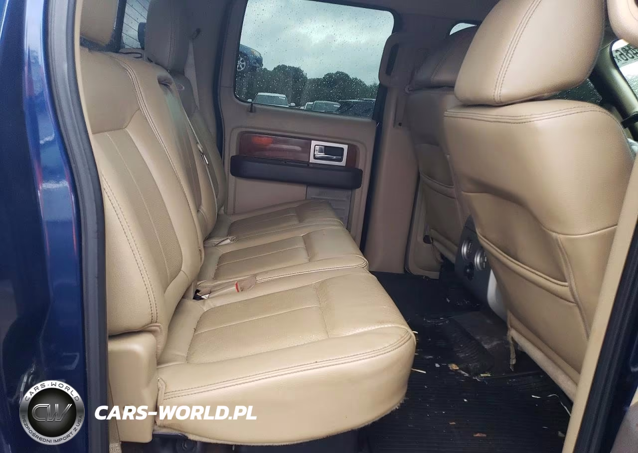 2010 Ford F150 Supercrew VIN:1FTFW1EV1AFD82685 - 10